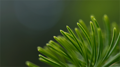 image-20230404084305-39.png